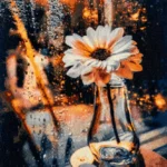 Cozy Afternoon Glow with a Flower